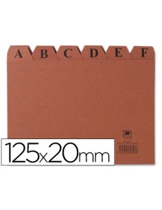 INDICE FICHERO LIDERPAPEL CARTON N.4 125X200 MM