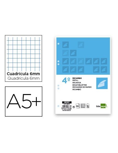 RECAMBIO LIDERPAPEL CUARTO 100 HOJAS 60G/M2 CUADRO 6MM CON MARGEN 6 TALADROS