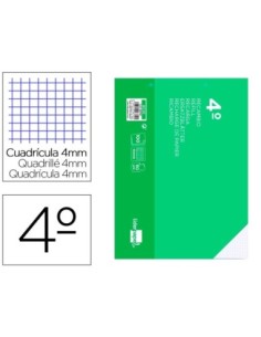 RECAMBIO LIDERPAPEL CUARTO APAISADO 100 H 2TCA-01 CUADRO 4 MM 2 TALADROS CON MARGEN