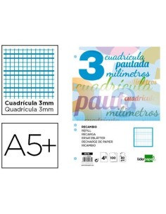 RECAMBIO LIDERPAPEL CUARTO PAUTAGUIA 100 HOJAS 75 G CUADRICULADO PAUTADO 3 MM CON MARGEN 6 TALADROS