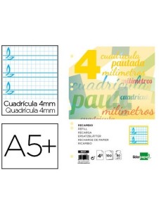 RECAMBIO LIDERPAPEL CUARTO PAUTAGUIA 100 HOJAS 75 G CUADRICULADO PAUTADO 4 MM CON MARGEN 6 TALADROS