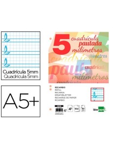 RECAMBIO LIDERPAPEL CUARTO PAUTAGUIA 100 HOJAS 75 G CUADRICULADO PAUTADO 5 MM CON MARGEN 6 TALADROS