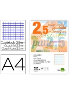 RECAMBIO LIDERPAPEL A4 PAUTAGUIA 100 HOJAS 75 G/M2 CUADRICULADO PAUTADO 2,5 MM CON MARGEN 4 TALADROS