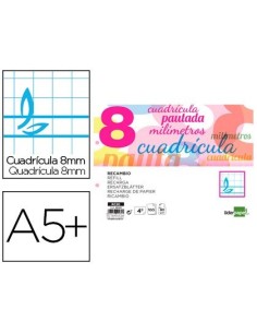 RECAMBIO LIDERPAPEL CUARTO PAUTAGUIA 100 HOJAS 75 G CUADRICULADO PAUTADO 8 MM CON MARGEN 2 TALADROS APAISADO