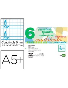 RECAMBIO LIDERPAPEL CUARTO PAUTAGUIA 100 HOJAS 75 G CUADRICULADO PAUTADO 6 MM CON MARGEN 2 TALADROS APAISADO