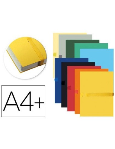 CARPETA DE PROYECTO EXACOMPTA DIN A4 LOMO HASTA 130 MM EXTENSIBLE CON TIRA DE VELCRO COLORES SURTIDOS
