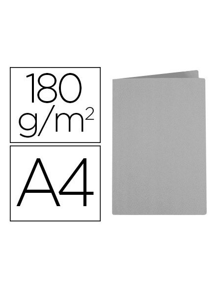 SUBCARPETA LIDERPAPEL A4 GRIS 180G/M2