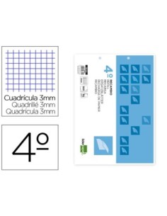 RECAMBIO LIDERPAPEL CUARTO APAISADO 100 H 2TCA-06 CUADRO 3 MM 2 TALADROS CON MARGEN