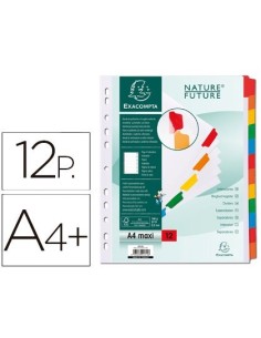 SEPARADOR EXACOMPTA CARTULINA JUEGO DE 12 SEPARADORES DIN A4+ MULTITALADRO COLOR BLANCO