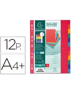SEPARADOR EXACOMPTA CARTULINA SIMIL PRESPAN JUEGO DE 12 SEPARADORES DIN A4+ MULTITALADRO COLORES VIVOS