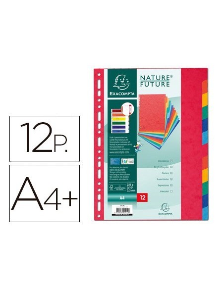 SEPARADOR EXACOMPTA CARTULINA SIMIL PRESPAN JUEGO DE 12 SEPARADORES DIN A4+ MULTITALADRO COLORES VIVOS