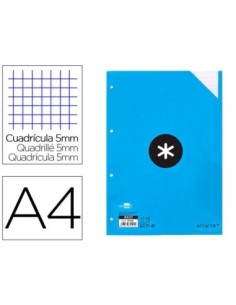 RECAMBIO LIDERPAPEL A4 100 HOJAS 100G/M2 CUADRO 5 MM 4 TALADROS BANDAS DE 5 COLORES ANTARTIK